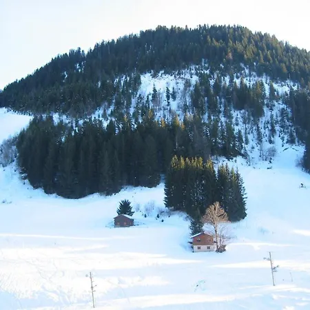 25m² Au Pied Des Montagnes, Balcon, Ideal Pour 4 Pers - Fr-1-573-95 Apartment Le Biot